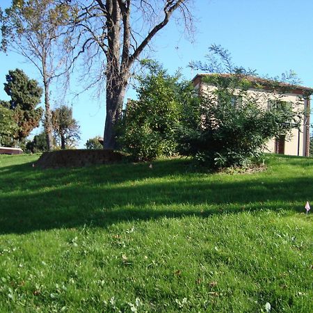 Casa Vacanze San Stefanetto Treiso Extérieur photo